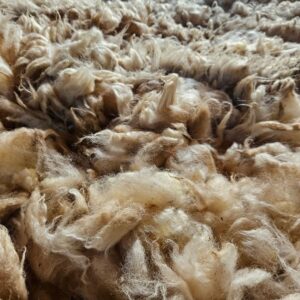 Natural Sheep Wool صوف الأغنام الطبيعي